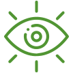 Vision Icon